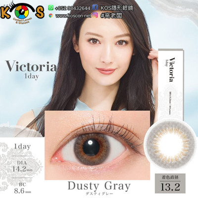 Victoria 1day Dusty Gray キャンディーマジックヴィクトリア ワンデー シンプルシリーズ ダスティグレー